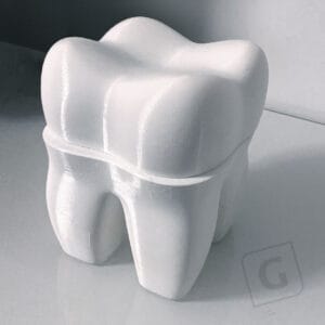 großer Zahn aus PLA der aus zwei Teilen besteht und mit dem Raise 3D gedruckt wurde