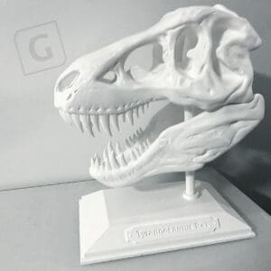 gedruckter Dinosaurier Kopf bestehend aus 2 Teilen